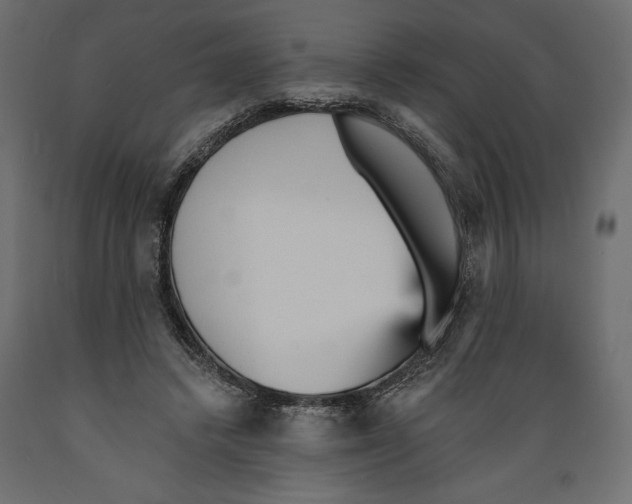 X0000088870448200707061351