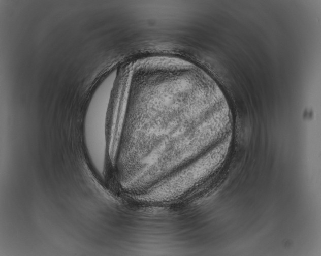 X0000088870449200707061351