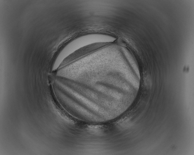 X0000088870450200707061351
