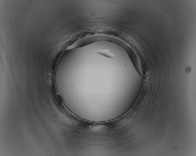X0000088870452200707061351