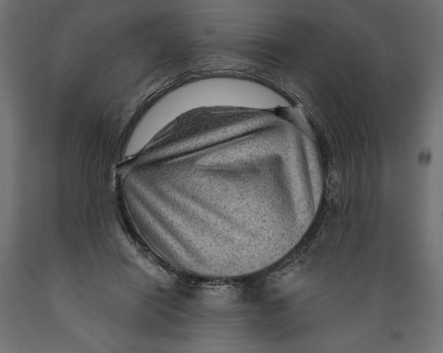 X0000088870454200707061351