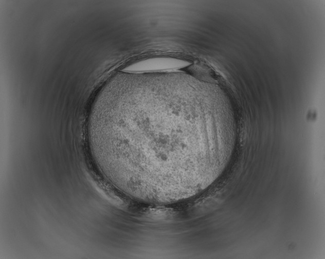 X0000088870455200707061351
