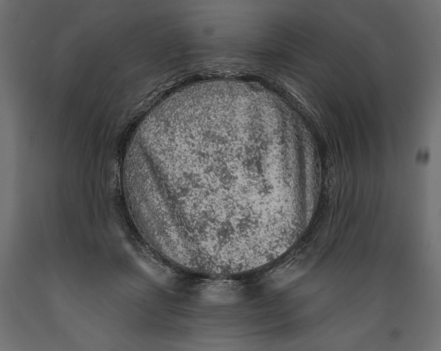 X0000088870459200707061351