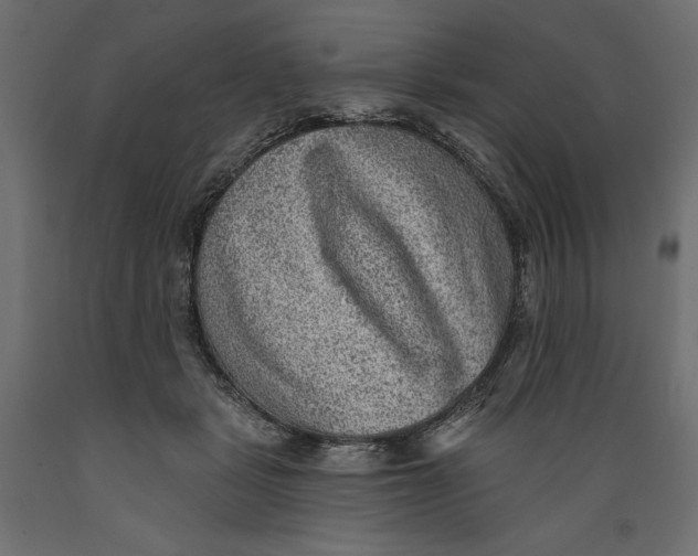X0000088870461200707061351