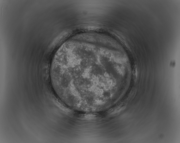 X0000088870462200707061351