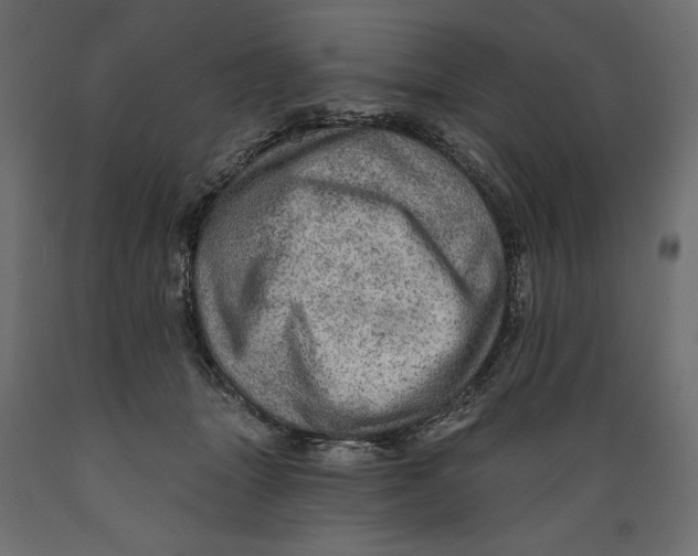 X0000088870463200707061351