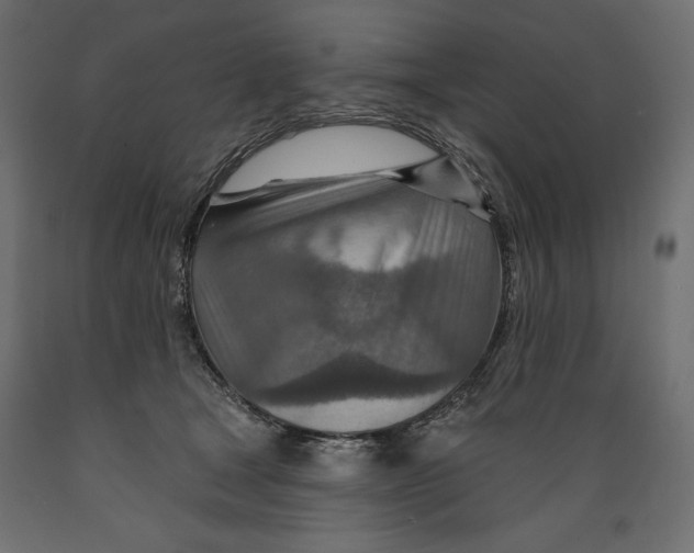 X0000088870465200707061351