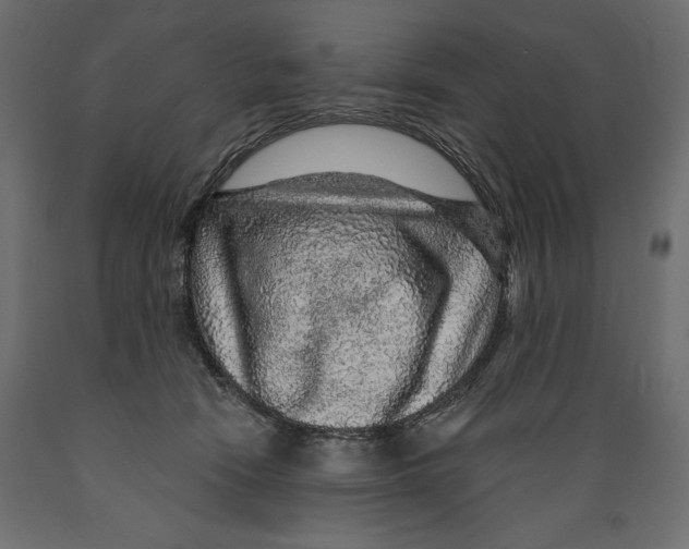X0000088870466200707061351