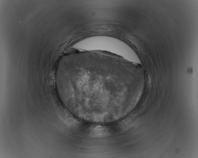 X0000088870467200707061351
