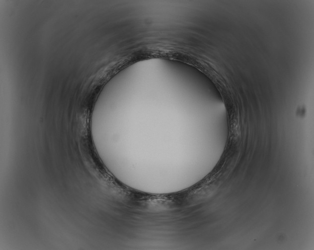 X0000088870468200707061351