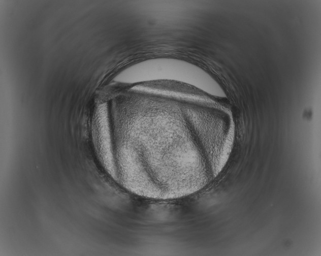 X0000088870470200707061351