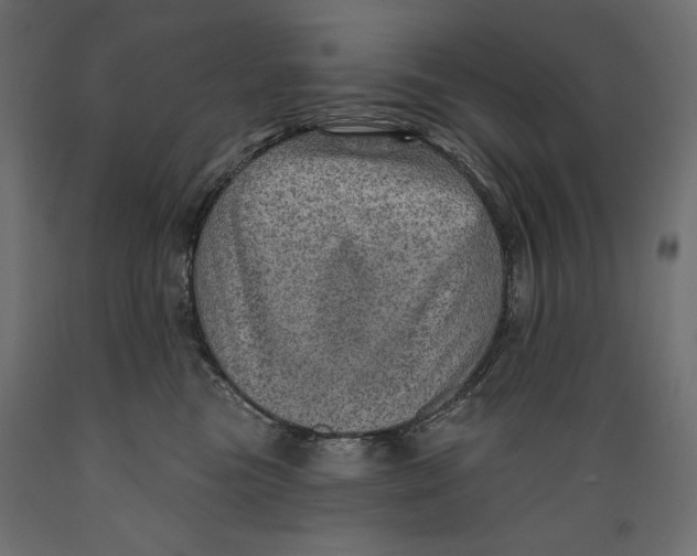 X0000088870473200707061351