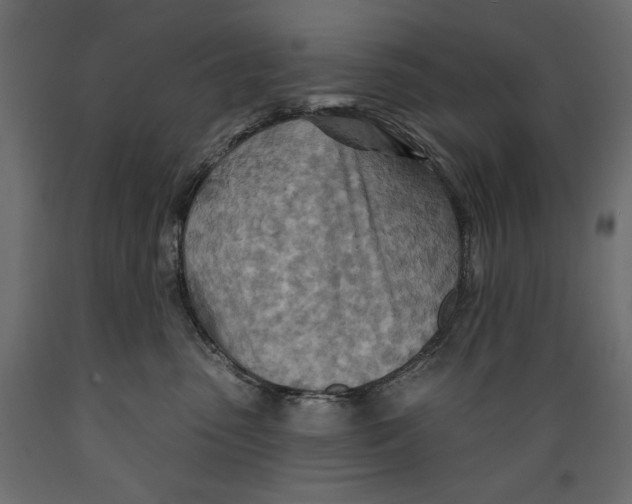 X0000088870475200707061351