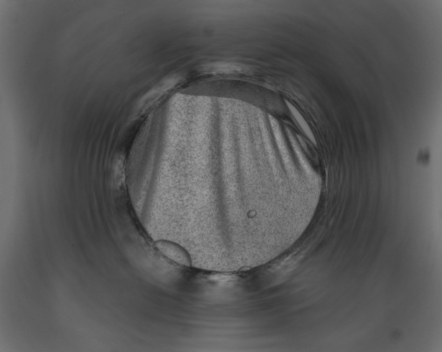 X0000088870478200707061351