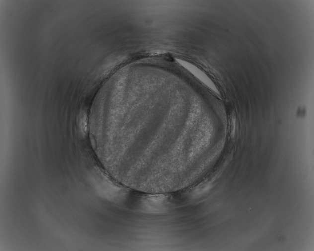X0000088870479200707061351