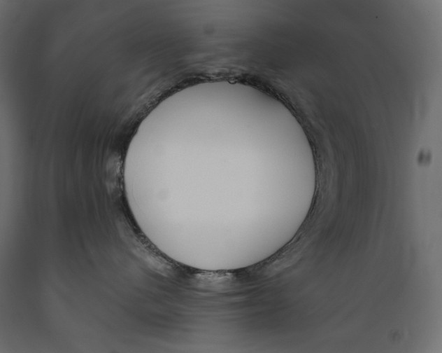 X0000088870480200707061351