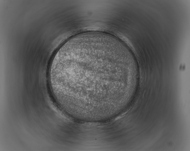 X0000088870482200707061351