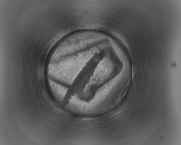 X0000088870483200707061351