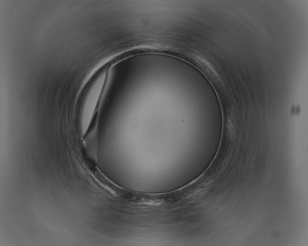 X0000088870484200707061351