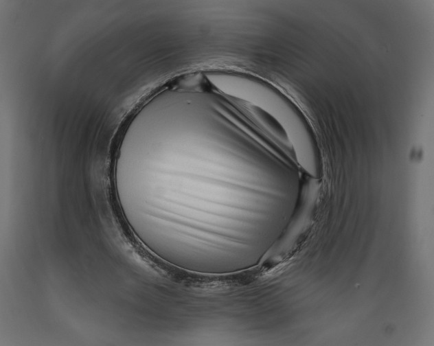 X0000088870485200707061351
