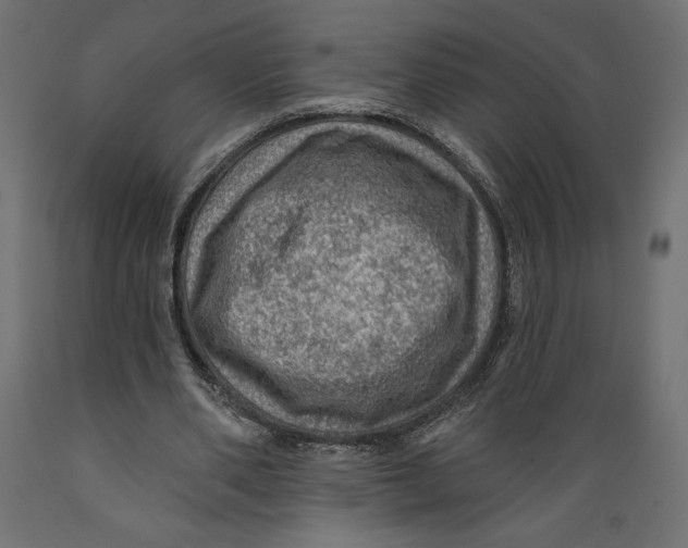 X0000088870486200707061351