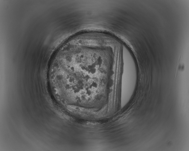 X0000088870487200707061351
