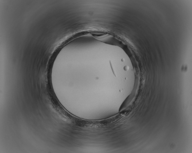 X0000088870488200707061351