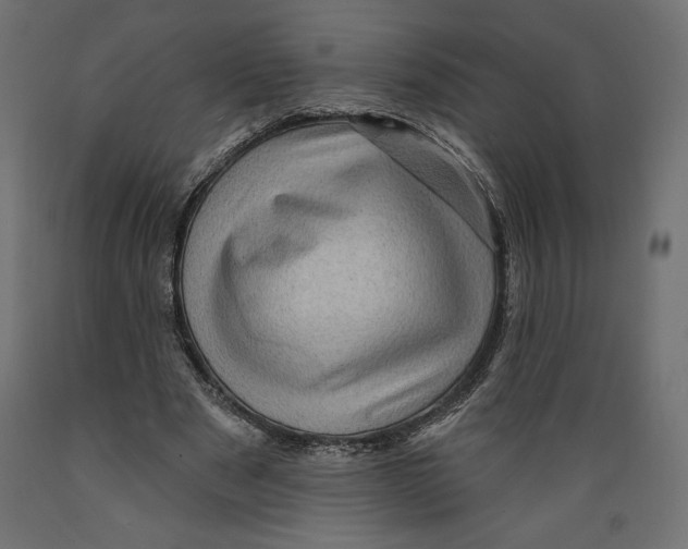 X0000088870489200707061351