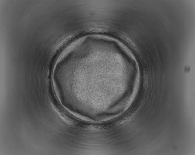 X0000088870490200707061350
