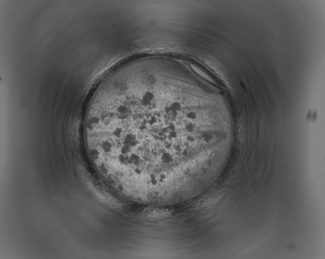 X0000088870491200707061350