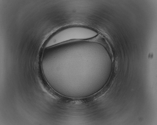X0000088870492200707061350