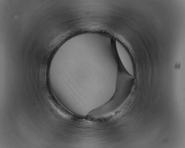 X0000088870493200707061350