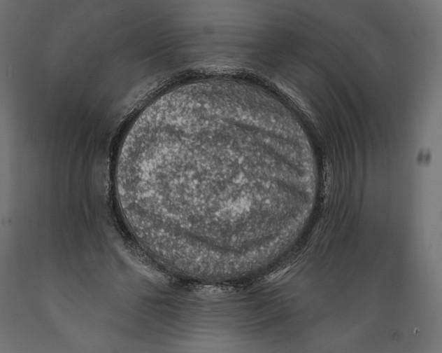 X0000088870494200707061350