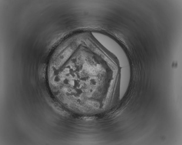 X0000088870495200707061350