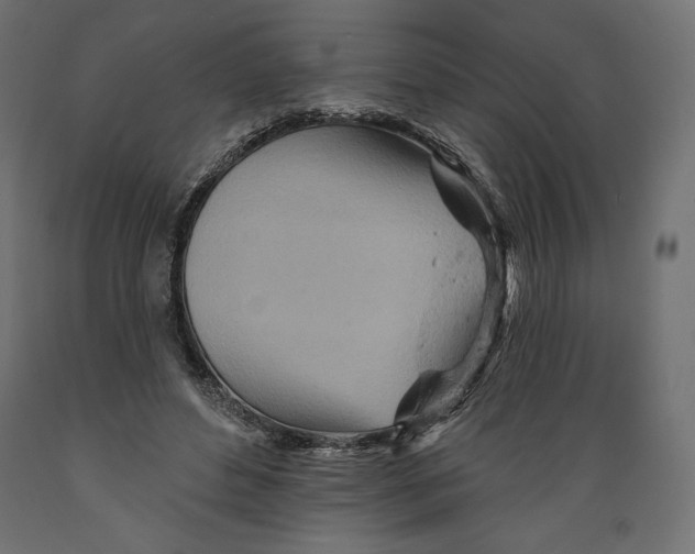 X0000088870496200707061350