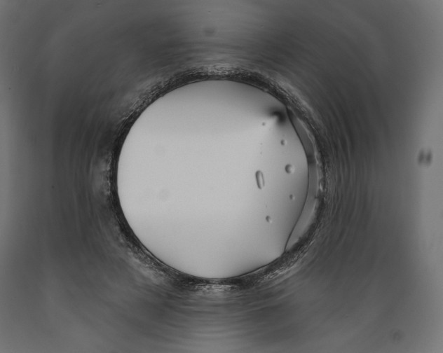 X0000088870497200707061350