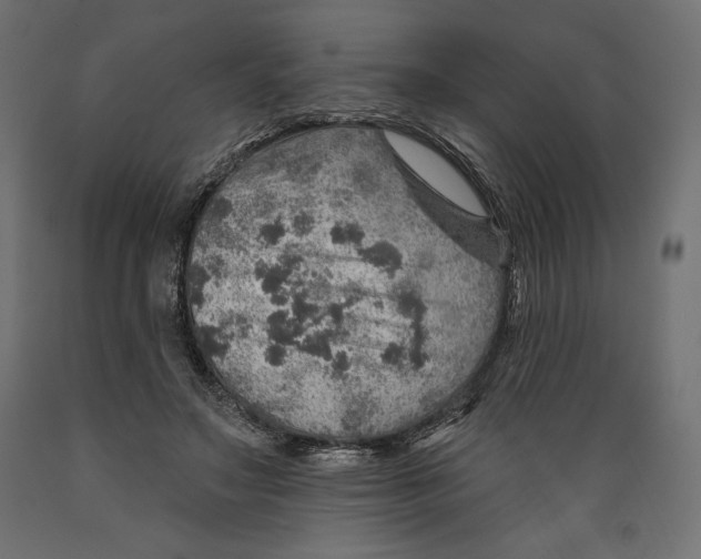 X0000088870499200707061350