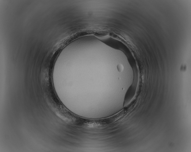 X0000088870500200707061350