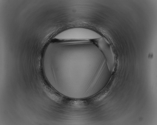 X0000088870501200707061350