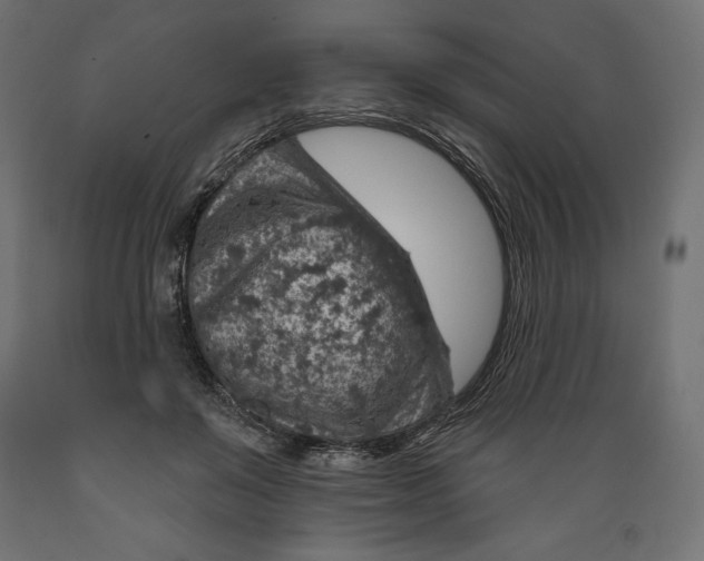 X0000088870503200707061350