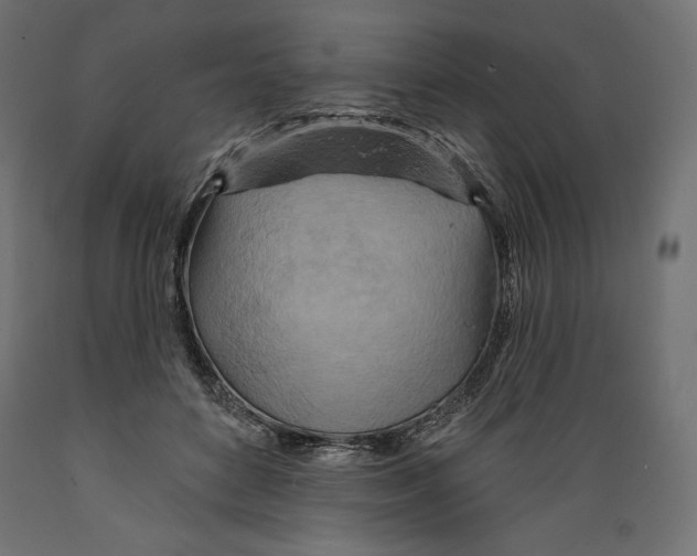 X0000088870504200707061350