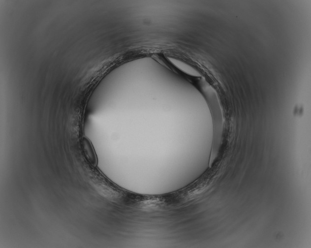 X0000088870505200707061350