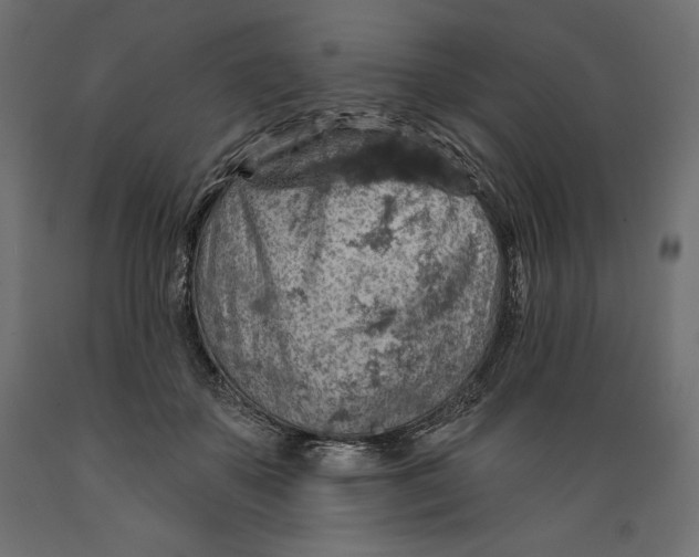 X0000088870507200707061350