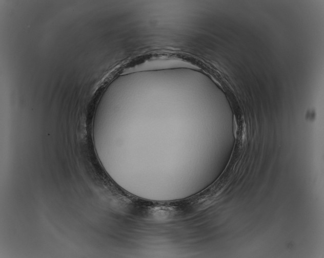 X0000088870508200707061350
