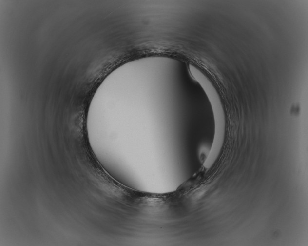 X0000088870509200707061350