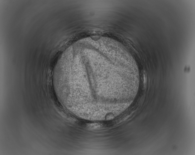 X0000088870511200707061350