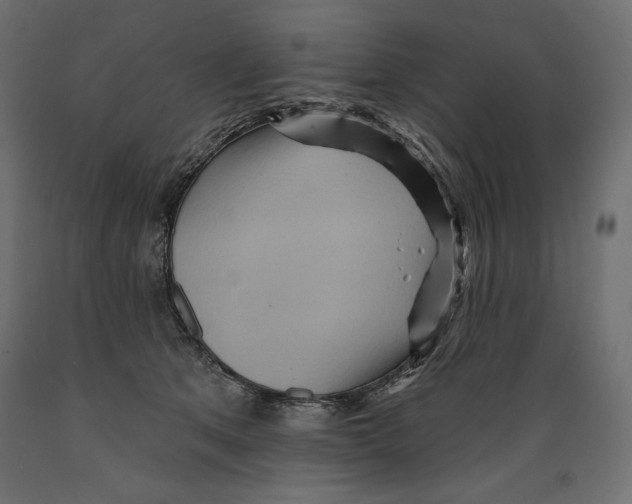 X0000088870513200707061350