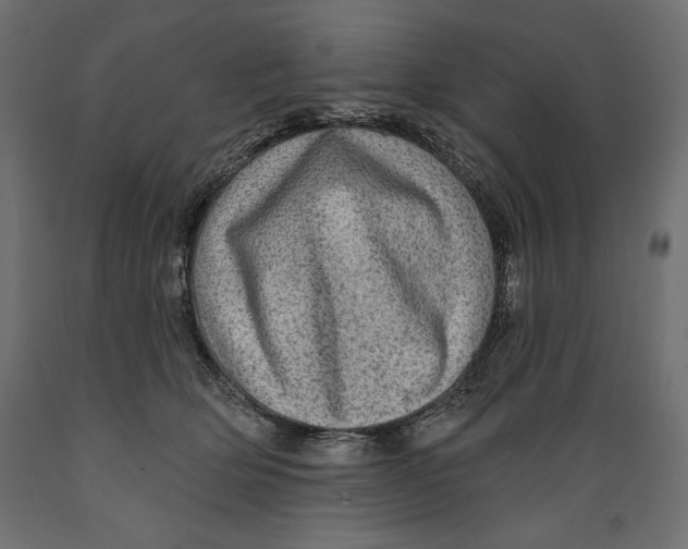 X0000088870514200707061350