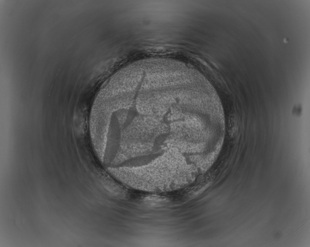 X0000088870515200707061350