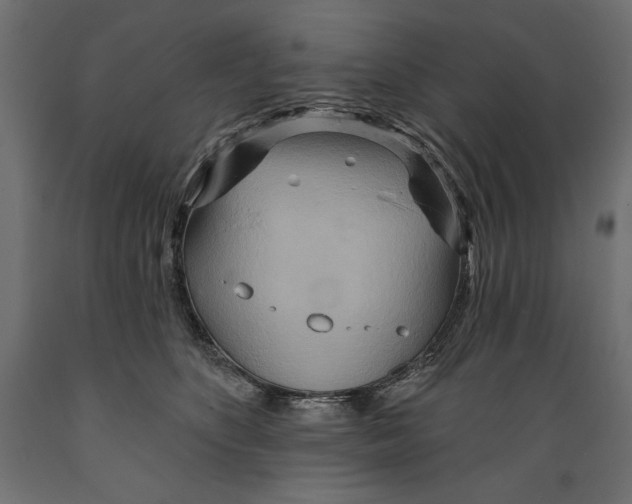 X0000088870516200707061350
